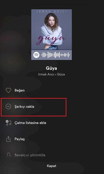 spotify-sarki-gizle 3