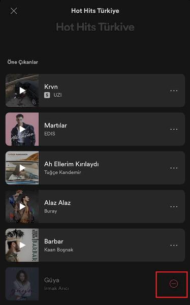 spotify-sarki-gizle 4