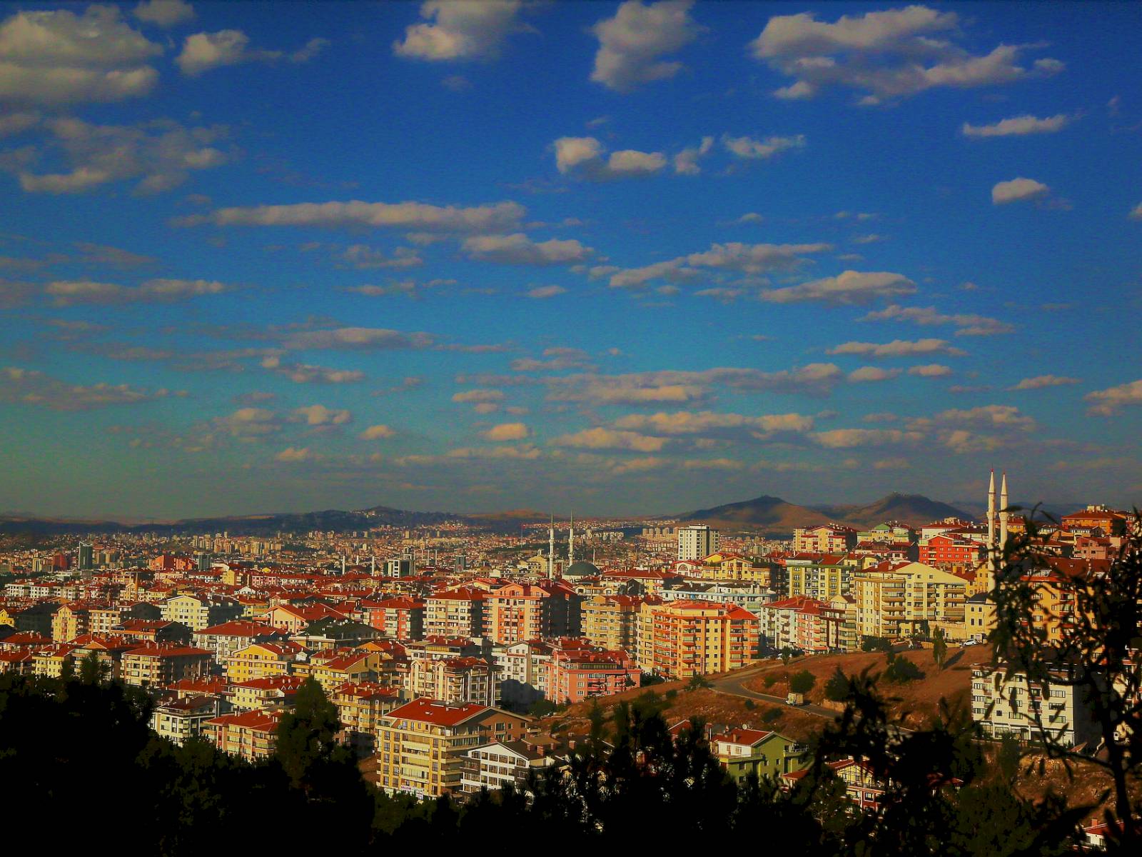 Анкара 2012