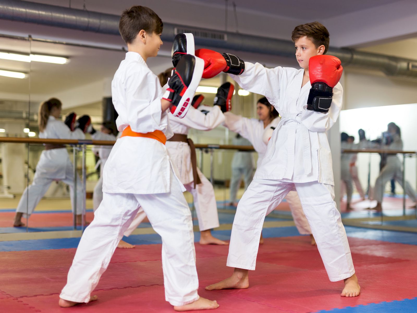 Diferencias entre Taekwondo y Karate - Kartal 24